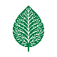 Green leaf Icon vector